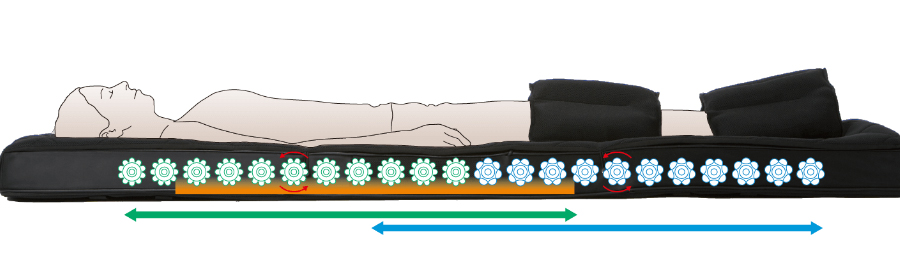 Giường Tsubo Healther toàn thân 